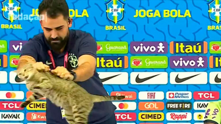 La maldición del gato en Brasil