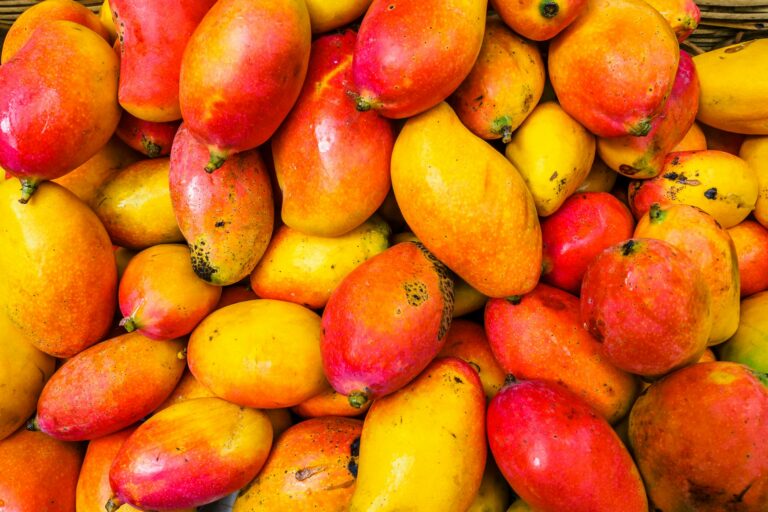 Los beneficios para la salud de comer mango regularmente