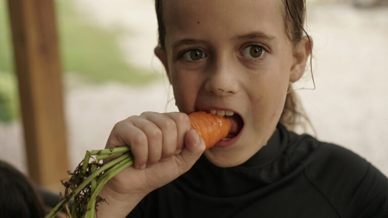 ¿Cómo puedes animar a los niños a comer alimentos saludables?