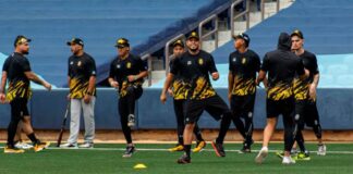 Este sería el line-up ideal de Leones del Caracas para la temporada Los Leones del Caracas afilan sus garras para salir a flote y conquistar la cúspide con uno de los mejores line-ups en los últimos años.