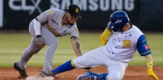 Rivalidad equilibrada: el pulso entre Leones del Caracas y Navegantes del Magallanes Rivalidad Caracas Magallanes - goal line