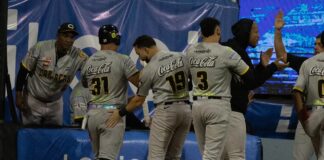 Wilmer Font guió blanqueada de Leones ante Tiburones Wilmer Font guió blanqueada de Leones ante Tiburones